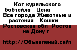 Кот курильского бобтейла › Цена ­ 5 000 - Все города Животные и растения » Кошки   . Ростовская обл.,Ростов-на-Дону г.